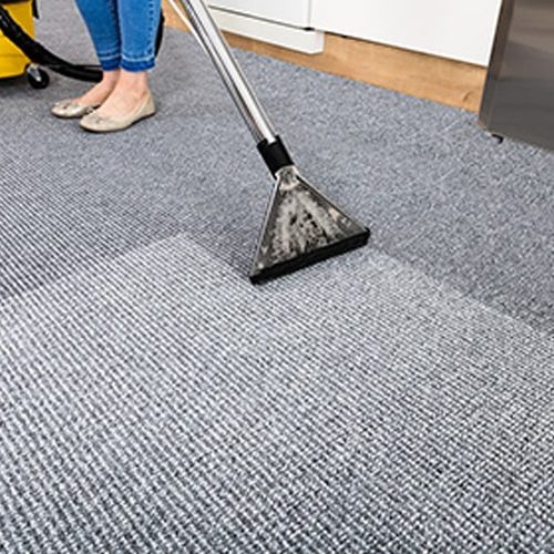 Carpet Cleaning Service 1