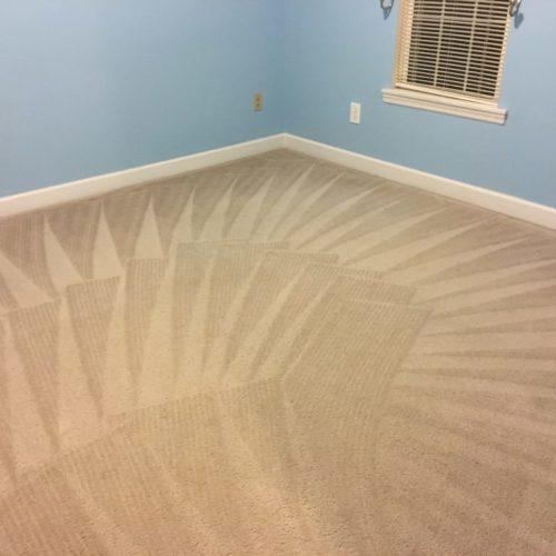 Carpet Cleaning Services