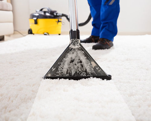 Choosing the Right Carpet Cleaners Brisbane