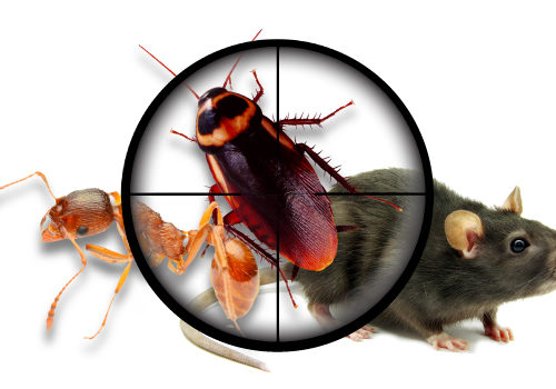 Impressive Pest Control