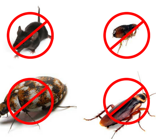 Pest Control 1180x445