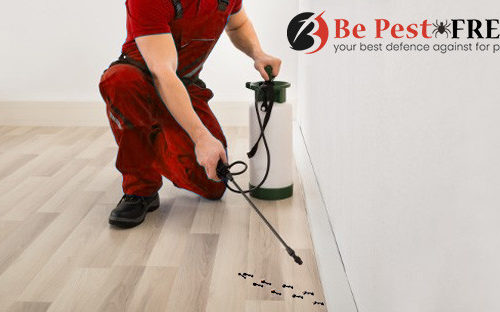 Pest Control Melbourne 1 1