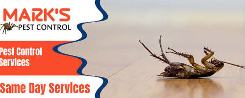 Professional Pest Control Services 1