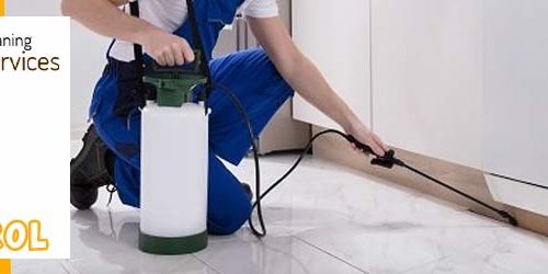 Same Day Pest Control