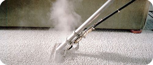 Carpet Cleaning 1234
