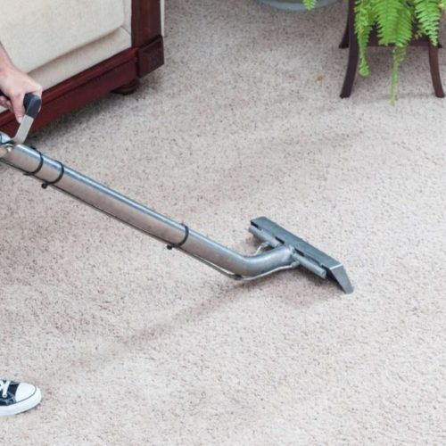 carpet cleaning company philadelphia