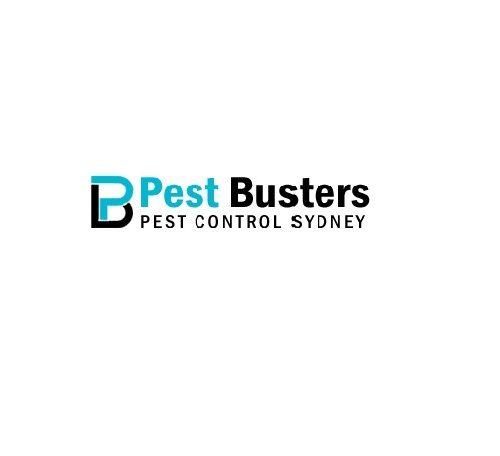 pest busters Copy