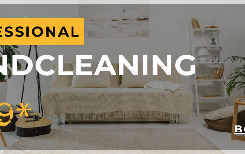 professional cleaner