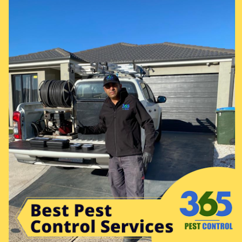 Best Pest Control Services 2