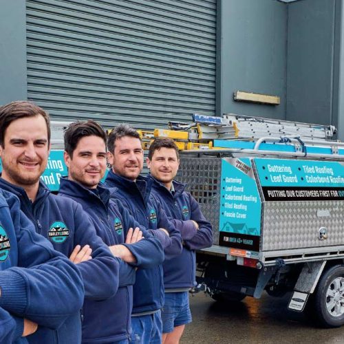 home video banner BG