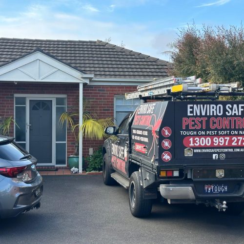 enviro bird control 1