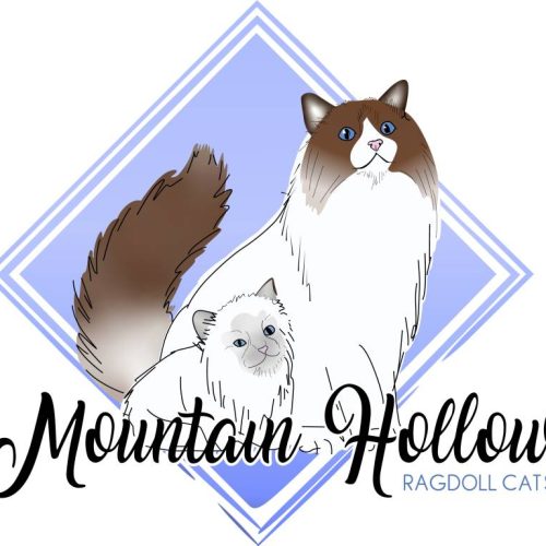 mountain hollows 1