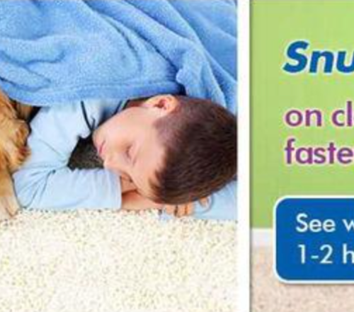 Chem Dry Clean and Green banner