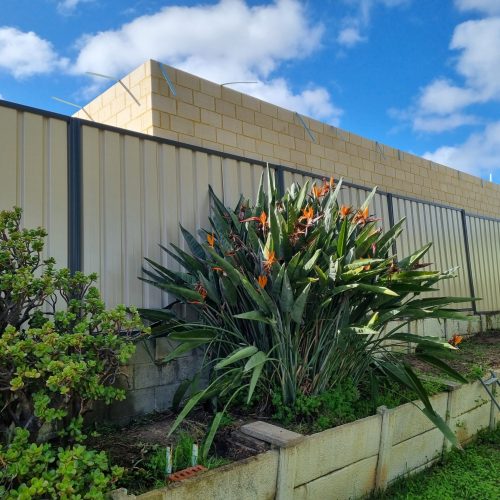 IMG 20230627 201105 scaled 1