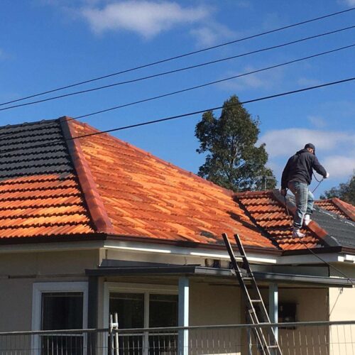 Roof Restoration North Shore01 jpeg